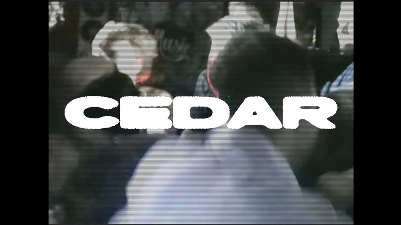 Guarda cedar - 100% su YouTube Guarda cedar - 100% su YouTube