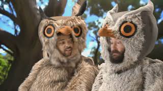 🌱 Refresh your garden and landscapes and boost your property's value | Central Landscape Supplies