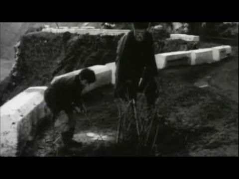 \"ნერგები\" - ნერგებით გადარჩენილი სიცოცხლე (nergebi)