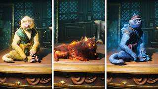 Assassins Creed Black Flag Resynced - ALL PETS (Showcase)