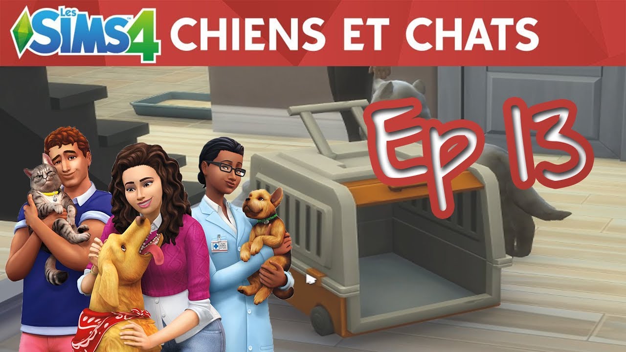 Les Sims 4 Chiens et Chats FR S04E13 "ADOPTION 🐕