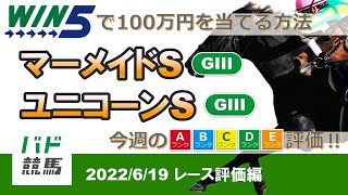 【WIN5で100万円：レース評価編】 2022年6月19日（日）マーメイドS・ユニコーンS