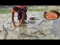 Amazing hand catching fishsinghi fish cookingeating in village catching fish in mud water by hand