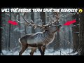 Reindeer's Horn Caught up in a Tree Branch Rescued By A Rescue Team