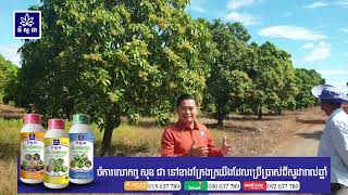 ស្វាយតា សុខ ជា