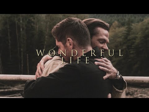 Supernatural | Wonderful Life
