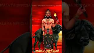 Kadawara Dewii Pihitaiii