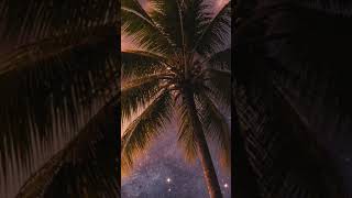 Sp 404 Beat Suburban Free Jazz