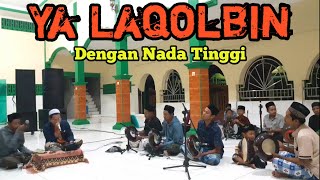 Ya Laqolbin dengan Nada Tinggi Melengking