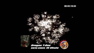 Wyrzutnia Dragon T-Rex XN36-81605 16 Strzałów Video Testy 2016