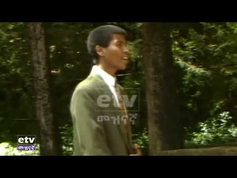 ተፈራ ነጋሽ ደህና ሁኚ ልበልሽ