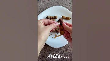Тамаринд ( индийский финик) / Tamarind (Indian date)