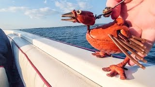 DABCHICK - POLISH GIRLS AND SPEEDBOATS