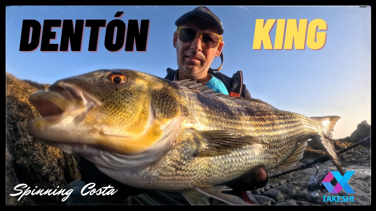 LOCURA !! de PEZ . / PESCA de DENTÓN a SPINNING COSTA . 