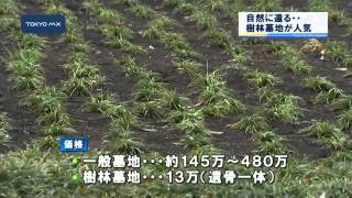 都立霊園　自然にかえる...樹林墓地が人気