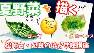夏野菜の描き方『ゴーヤ・サニーレタス』❣️新鮮野菜で乗り切ろう暑い