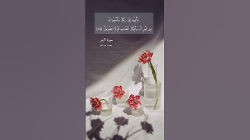 آية ٥٤ "وأنيبوا إلى ربكم وأسلموا له" من سورة الزمر |اللهم لا تجعلنا بحاجة لغيرك وأنت القريب العليم