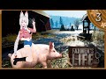 Пьяное родео ► Прохождение Farmer&#39;s Life #3 симулятор фермера