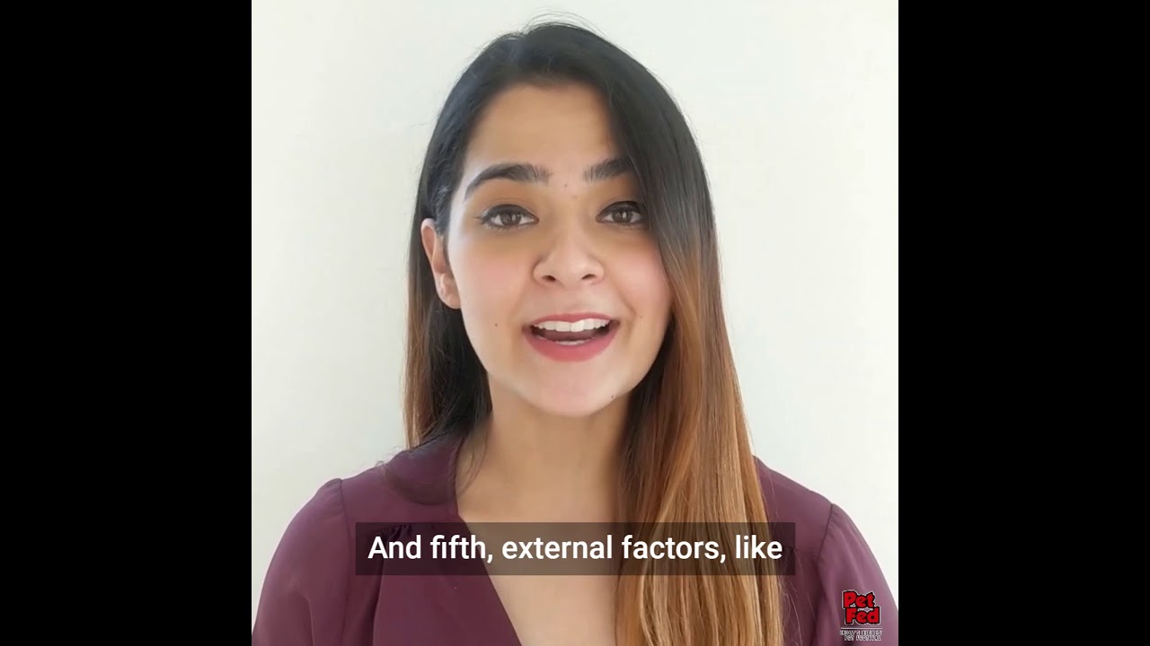 Inflasule Pet Medicine