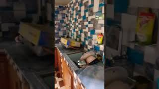 kintchen tour ❤ #youtubeshorts #viralvideo #shortsfeed #trending #kitchen