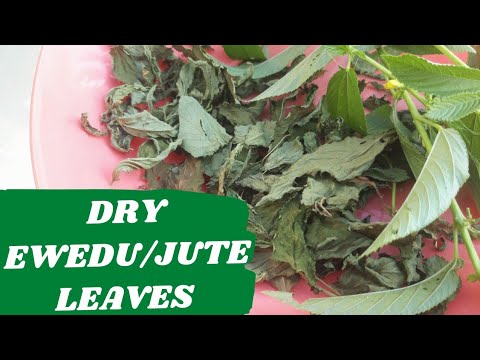 How To Cook Dried Jute Leaves