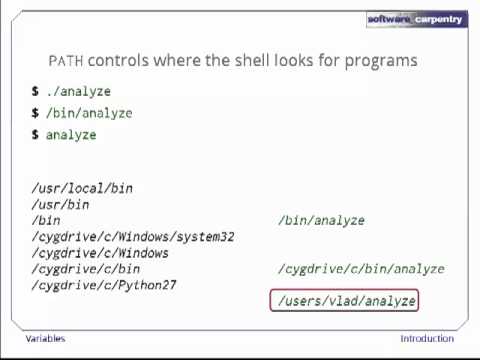 The Shell - Episode 8 - Variables - YouTube