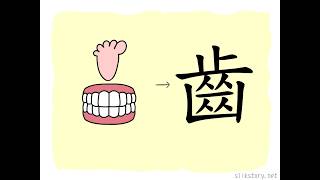 漢字的故事 : 齒
「齒」字描繪兩排口腔內用於咀嚼的堅硬器官,因咧嘴發出的聲音近乎「止」字的發音,且此堅硬器官亦近似一排腳趾,故加入「止」字作為聲符。 漢字的故事 : 齒