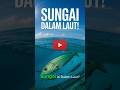 Sungai di Dalam Laut #faktaunik #shorts #laut #unik #ilmupengetahuan #fact #negaradidunia #flipaclip