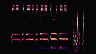 Writing Minimum With The Voice  Tran Quang Hai