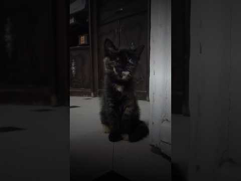 كل حلم بدا مستحيلا لكنه أصبح واقعا لأنه لم يمت في قلب صاحبه   تحفيز