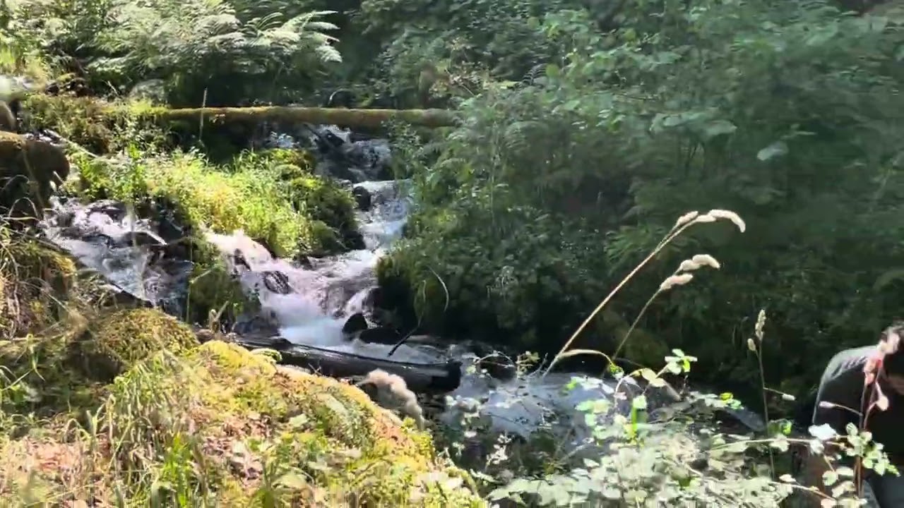 Second level of wahkeena fall