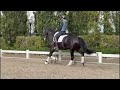 Nayja under the saddle and at the mare inspection