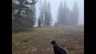 Pre Labor Day Weekend on the Grand Mesa 2025 Day 2 & 3 #camping