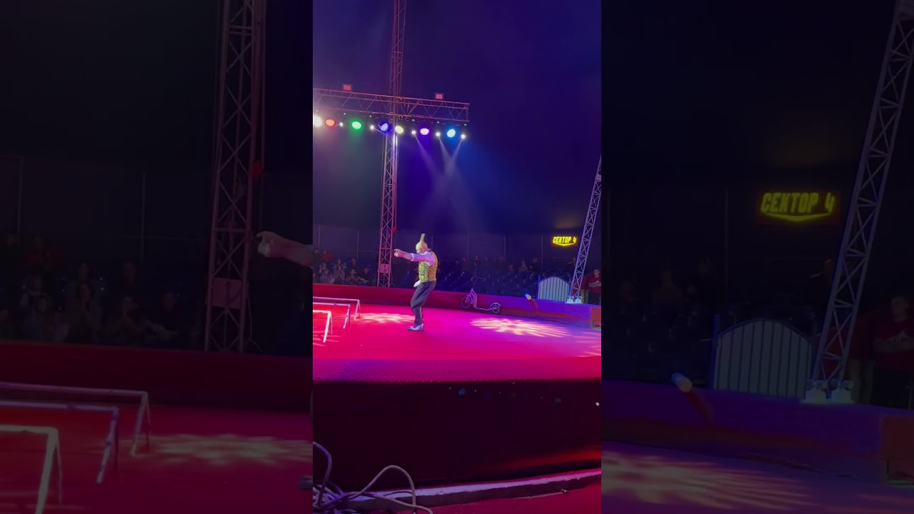 Модный дирижер🎼