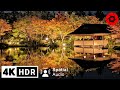 Tokyo&#39;s Best Autumn Illumination Night Walk 2023 - 4K HDR  Spatial Audio