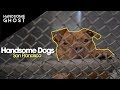 Handsome Dogs | Handsome Ghost Visit Friends of Alameda Animal Shelter in San Francisco