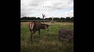 Livai - Si Aggira Solo