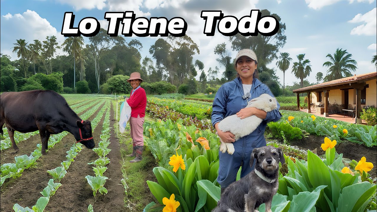 Tienen una finca auto sustentable lo tienen todo 