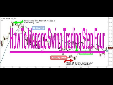 Day swing trader for forex