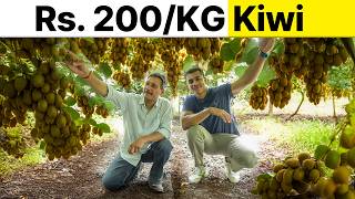 Created a Farming Business of Rs. 1 Crore by Doing Kiwi Farming | Complete Guide