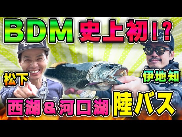BDM史上初！？】西湖&河口湖で陸っぱりバスに挑戦！ - YouTube