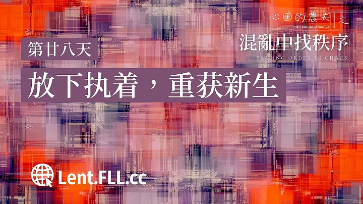 混乱中找秩序 | 第廿八天 | 放下执着，重获新生 - 天天要闻