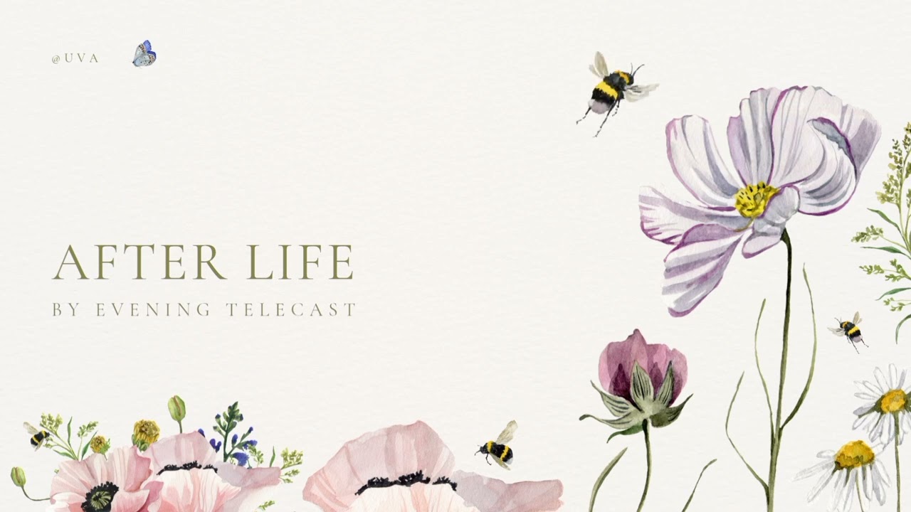 After life - Evening telecast (copyright free music) 