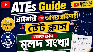 WB Primary, upper primary TET class|মূলদ সংখ্যা|rational number|সহজ ও সম্পূর্ণ ব্যাখ্যা।