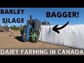 Bagging Barley Silage!