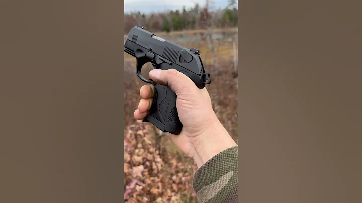 Beretta PX4 Storm Subcompact