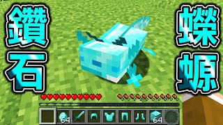 Minecraft 鑽石蠑螈！能【改造蠑螈】獲得最強能力生存，無限礦物！最強金屬【獄髓蠑螈】能夠..？｜全字幕｜當個創世神【阿斯asu】