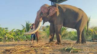 พ่อพลายหนุ่มเสกยินดีต้อนรับfcอุทัยธานีท่านมาเราดีใจท่านไปเราคิดถึง