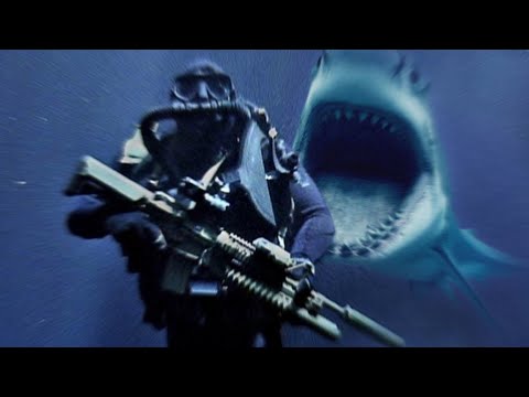 Video: A funksionojnë pajisjet SharkBite në polibutileni?