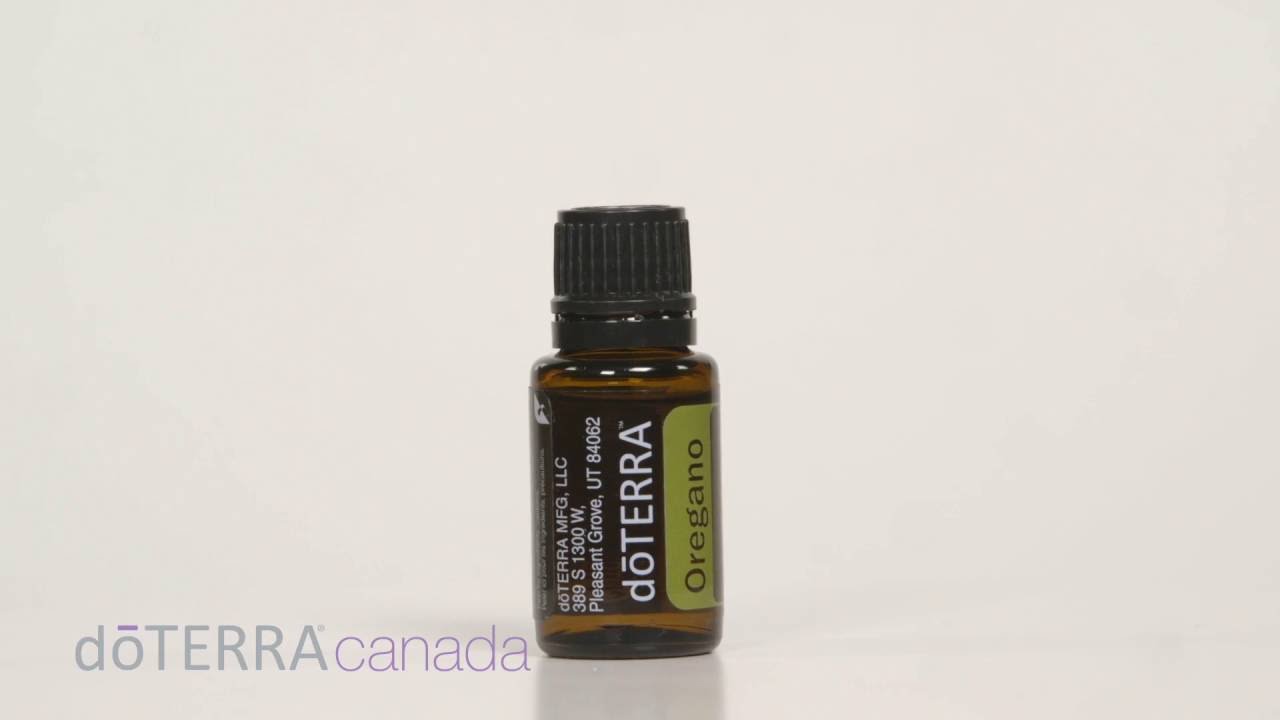 Oregano Canada Class in a Box YouTube